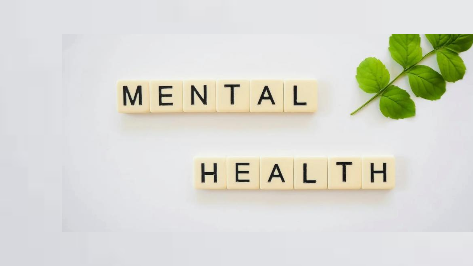 Myndful Wellness Mental Health Clinic